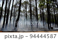 An wide shot of forest fire at Netarhat Jharkhand, India. 94444587