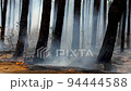Mid shot of igniting forest fire burning jungle at Netarhat, Jharkhand India. 94444588