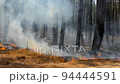 Close shot of fire and smoke blowing in the Jungle at Netarhat, Jharkhand. 94444591