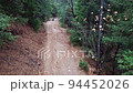 Rough Road At The Mountain Edge With Motorcycle Passing By In Remote Forest In United States. Static Shot 94452026