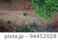 Off-Road With Man Riding Motorcycle Driving Across During Daytime. Topdown Shot 94452028