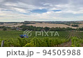 harvesting grapes on farm France in mechanized  94505988