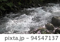スロー撮影による雨上がりの小川の流れ 94547137