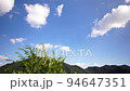 青空と揺れる木と山 田舎の風景 94647351