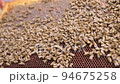 Bees fly and collect honey. The bees are getting ready for winter. Many bees that climb one on one in the evidence. Honey comb. 94675258