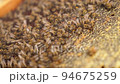 Bees fly and collect honey. The bees are getting ready for winter. Many bees that climb one on one in the evidence. Honey comb. 94675259