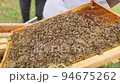 Bees fly and collect honey. The bees are getting ready for winter. Many bees that climb one on one in the evidence. Honey comb. 94675262