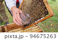 Bees fly and collect honey. The bees are getting ready for winter. Many bees that climb one on one in the evidence. Honey comb. 94675263