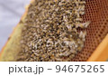 Bees fly and collect honey. The bees are getting ready for winter. Many bees that climb one on one in the evidence. Honey comb. 94675265