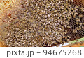 Bees fly and collect honey. The bees are getting ready for winter. Many bees that climb one on one in the evidence. Honey comb. 94675268