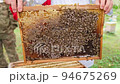 Bees fly and collect honey. The bees are getting ready for winter. Many bees that climb one on one in the evidence. Honey comb. 94675269