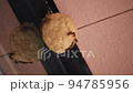 八月、巣から盛んに出入りする黄色スズメバチ 94785956