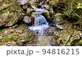 西大台の清らかな小川の流れ 94816215