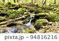 苔むす西大台の川の流れ 94816216