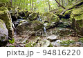 苔天国　西大台の小川 94816220