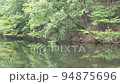 Reservoir landscape with trees 94875696