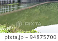 birds floating in the reservoir 94875700