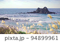 [Kyushu/Itoshima City] A video of Japanese pampas grass blowing in the evening wind and Meotoiwa rocks at Sakurai Futamigaura. 94899961