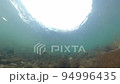 Underwater photography of salmon running upstream 94996435