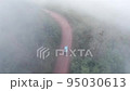 Traveling by van through the foggy jungle in Puebla state in Mexico 95030613