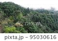 Traveling by van through the foggy jungle in Puebla state in Mexico 95030616