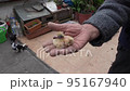 Istanbul, Turkey, 04302022-Man holds 1 day old pigeon 95167940