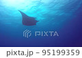 Manta rays swimming gracefully 95199359