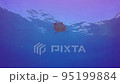 Green turtle floating on the sea surface 95199884