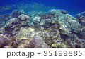 Fully healed underwater 95199885