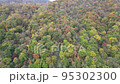 北海道的秋/秋葉地毯 95302300