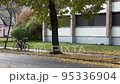 Leaves falling from tree on the road in Vilnius, Lithuania 95336904