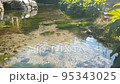 Hongu no Izumi Clear stream 95343025