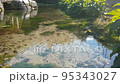 Hongu no Izumi Clear stream 95343027