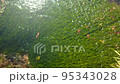 Hongu no Izumi Clear stream 95343028
