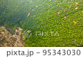 Hongu no Izumi Clear stream 95343030