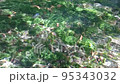 Hongu no Izumi Clear stream 95343032