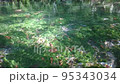 Hongu no Izumi Clear stream 95343034