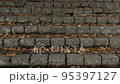 Rock ladder covered with dry leaves in Belmontas park in Vilnius 95397127