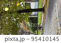 Leaves falling from tree on the road in Vilnius, Lithuania. Vertical footage 95410145