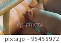 Modern farm with pigs and piglets.  95455972