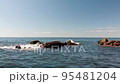 海水上を低空撮影【空撮】 95481204