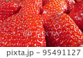 extreme close-up of a bunch of ripe strawberries, detailed 95491127