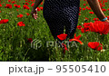 A girl in a blue dress with white polka dots walks across a field with red poppies. Golden light in an idyllic landscape. Hand touches red poppy flowers. Spring field. Calm 95505410