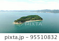 Aerial drone photography Whale Island in Okayama Prefecture 95510832