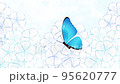 花と蝶々 95620777