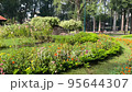 View of orange flower on the land and scene in tao dan park 95644307
