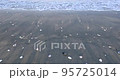 砂浜に打ち寄せる波とバラバラになった貝がら 95725014