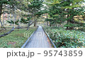 Scenery walking in the forest Walking in the forest Walking on the wooden path in the forest Autumn leaves 95743859