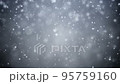 Winter Christmas background, falling snowflakes 95759160