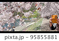 People taking pictures of cherry blossoms in full bloom 95855881